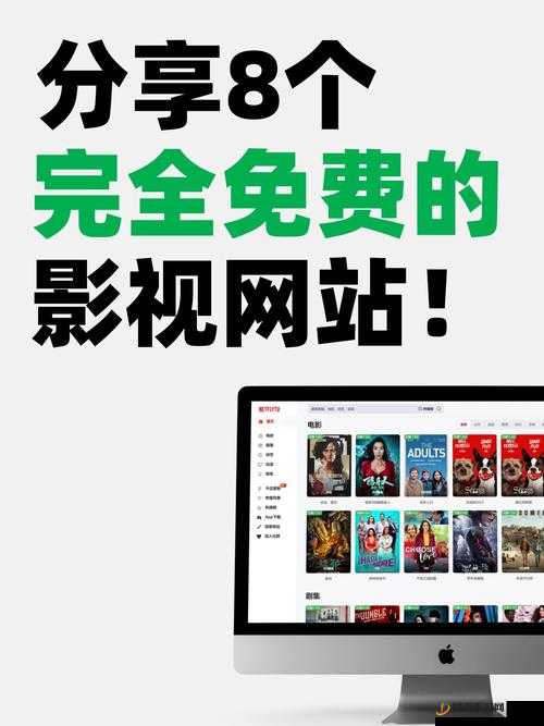 国产 HDvideo 网站：优质影视资源聚集地