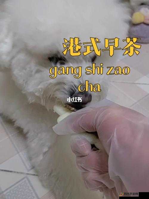 人狗胶配方大全免费：包含多种详细制作方法及注意事项