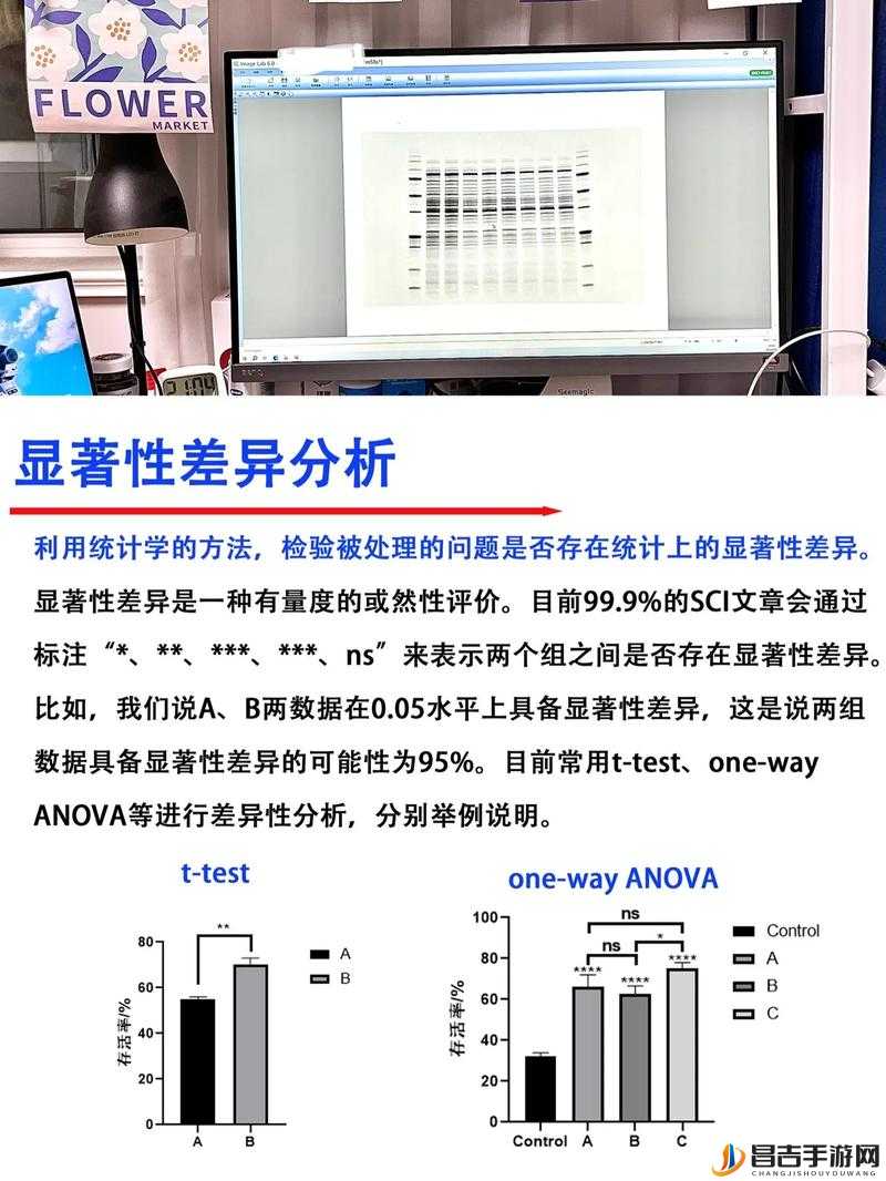 大巧娘和大庆第 22 回的区别：深度剖析两者的显著差异所在