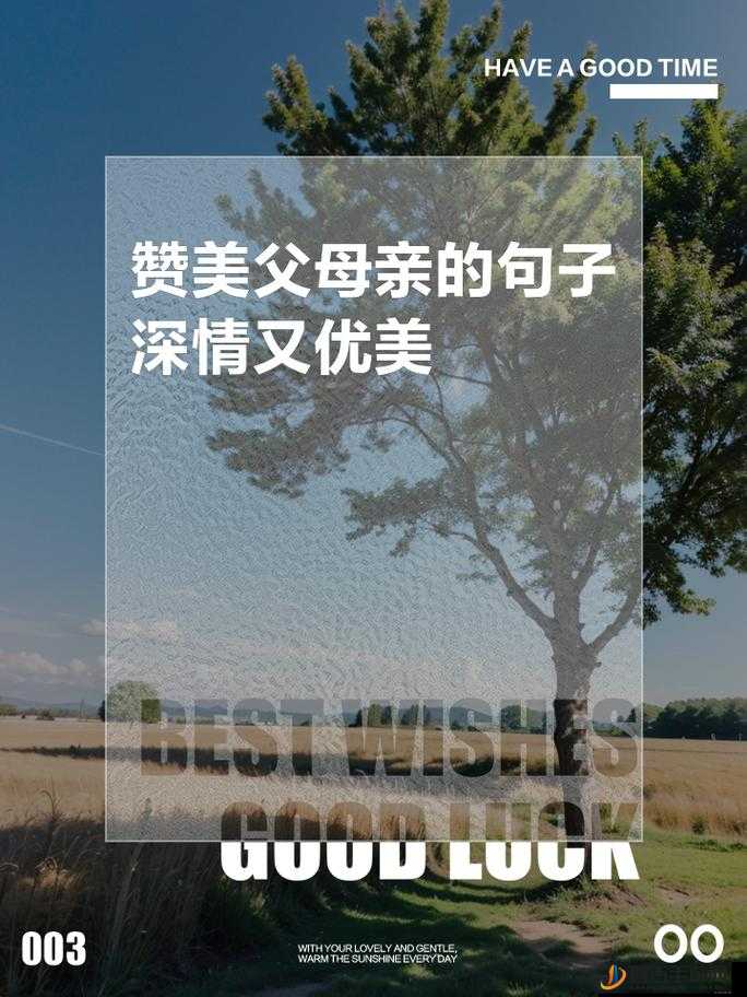 品味母爱的芬芳：那无尽的温暖与深情的伟大力量