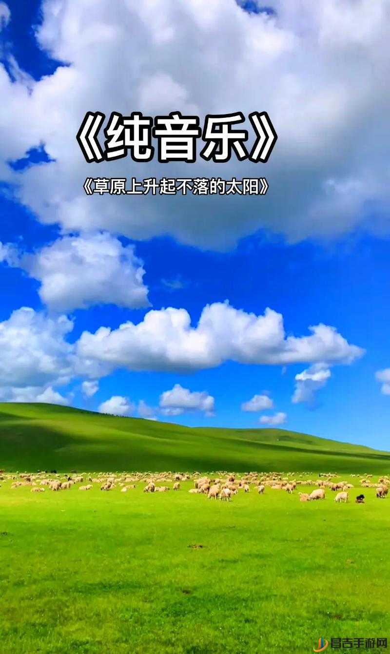 九幺抖音版：带你领略不一样的精彩音乐世界