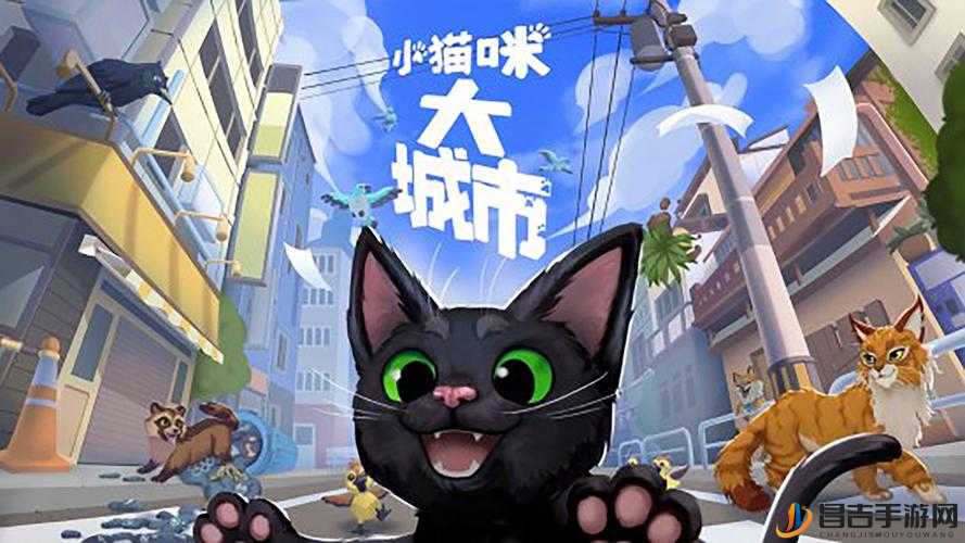 小猫咪大城市日常美容动作怎么获得：探索其背后的秘诀