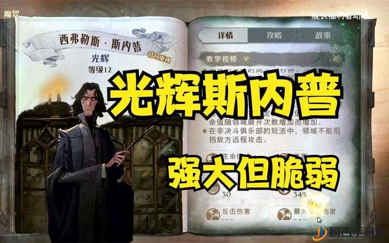 哈利波特魔法觉醒斯内普伙伴卡高效搭配与战术运用推荐