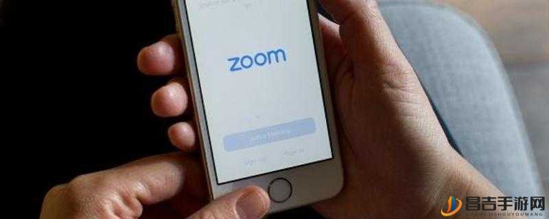 ZOOM 和 OKZOOM 区别之详细分析与探讨