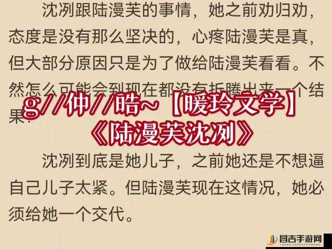 优质RB攻略系统游戏沈芙：开启奇妙冒险之旅的不二之选