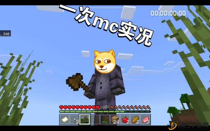 暴躁老外玩 minecraft 中国之有趣体验与独特冒险之旅