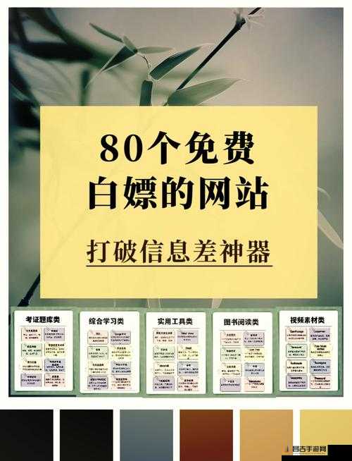 成品网站 5668 入口：涵盖丰富功能的全面展示