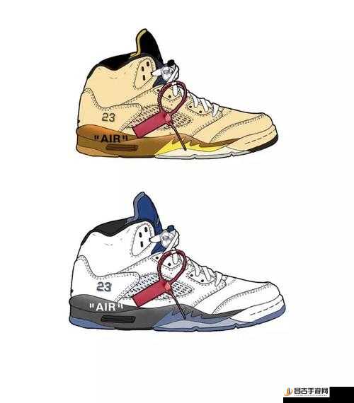 AIRJORDAN 重口只有付费才能访问回复之相关探讨分析