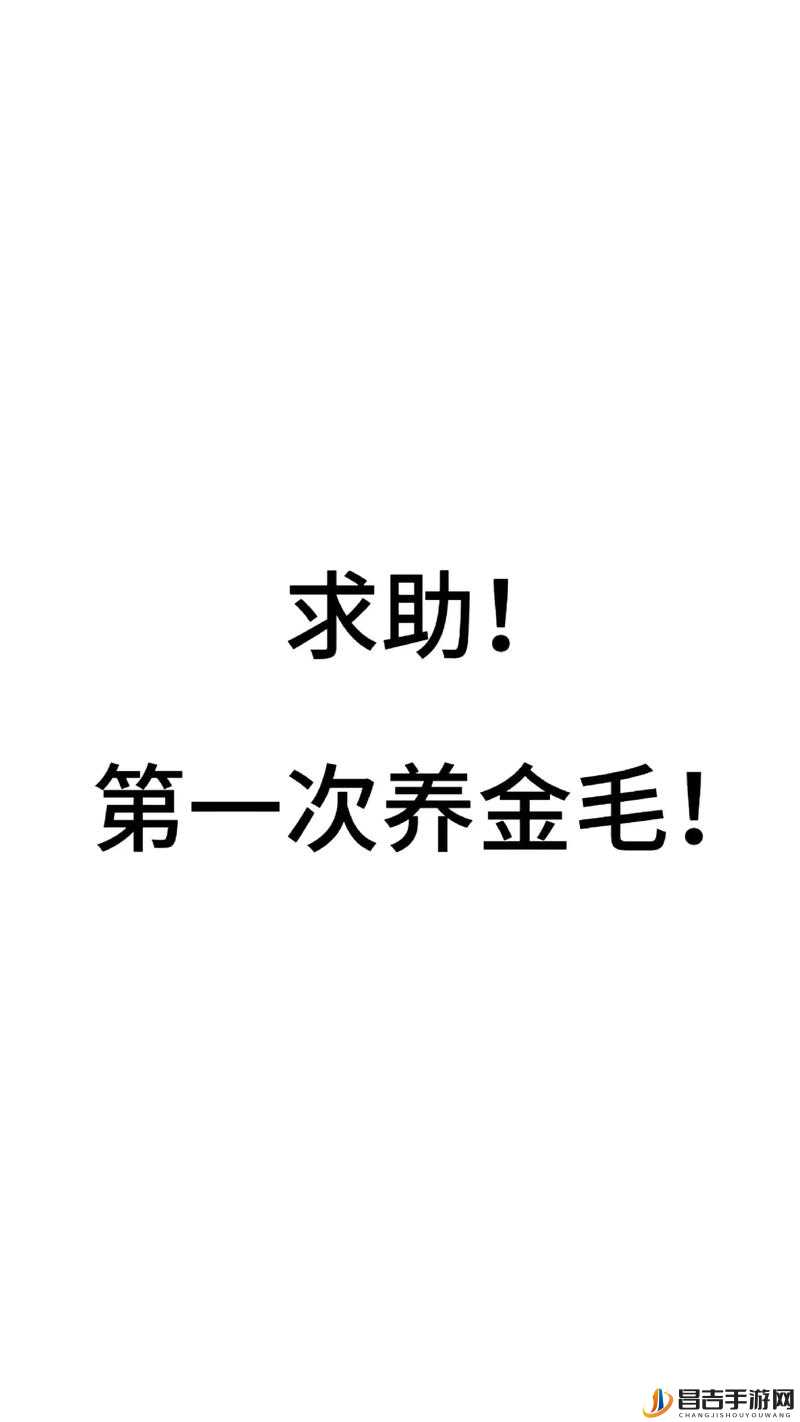 文字的力量，解析给狗狗喂点狗粮吧通关攻略中的资源管理艺术与技巧